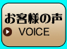 ab_voice.jpg